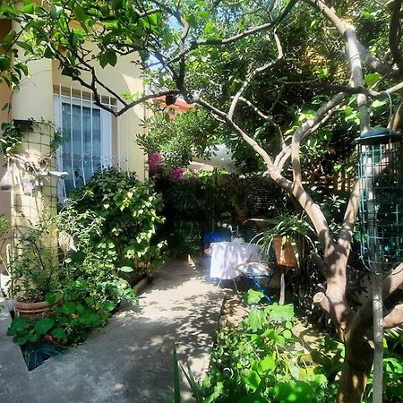 Les Violettes Daire Menton Dış mekan fotoğraf