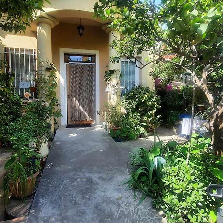 Les Violettes Daire Menton Dış mekan fotoğraf