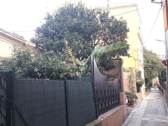 Les Violettes Daire Menton Dış mekan fotoğraf