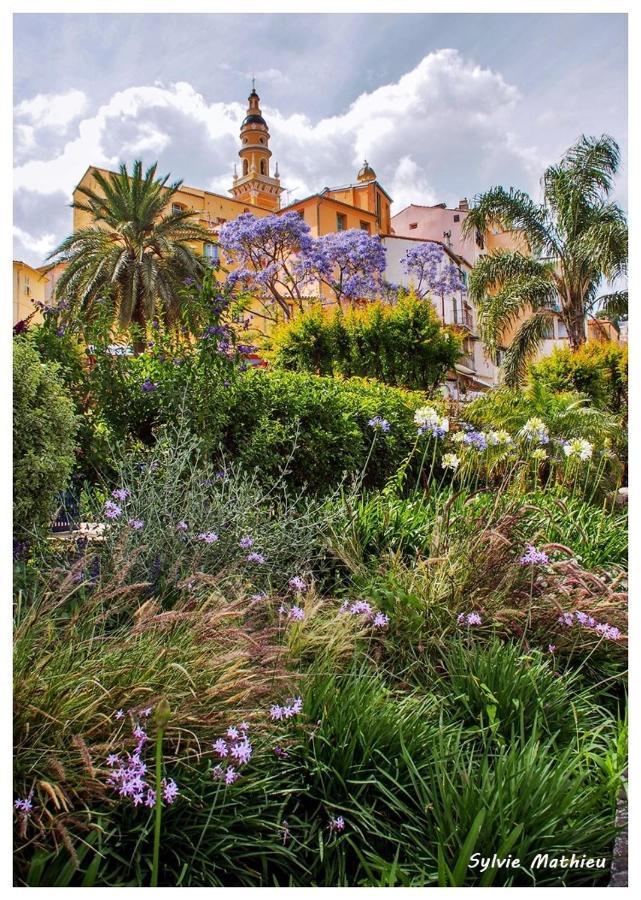 Les Violettes Daire Menton Dış mekan fotoğraf