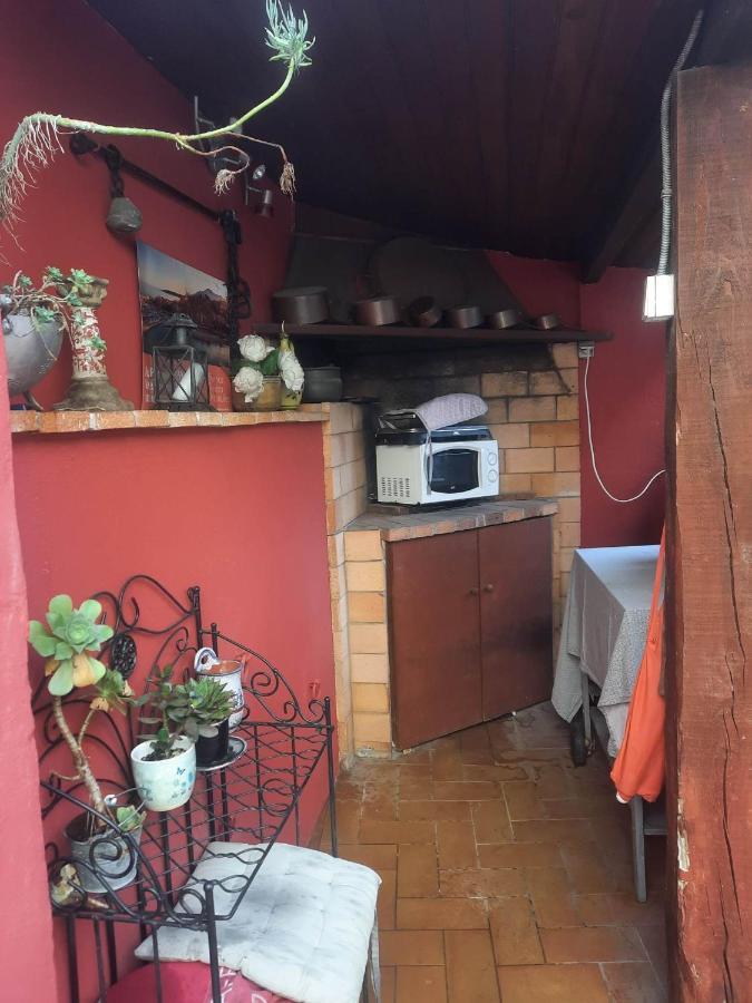 Les Violettes Daire Menton Dış mekan fotoğraf