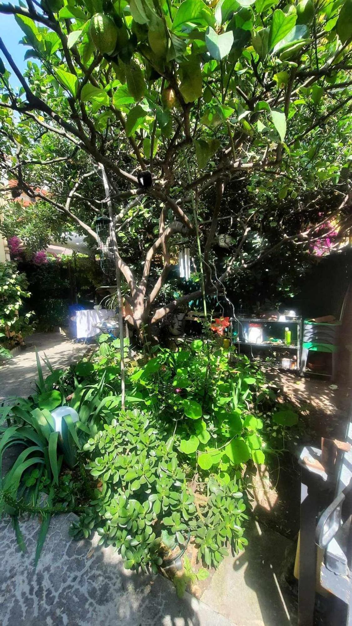 Les Violettes Daire Menton Dış mekan fotoğraf