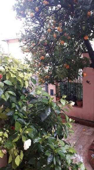 Les Violettes Daire Menton Dış mekan fotoğraf