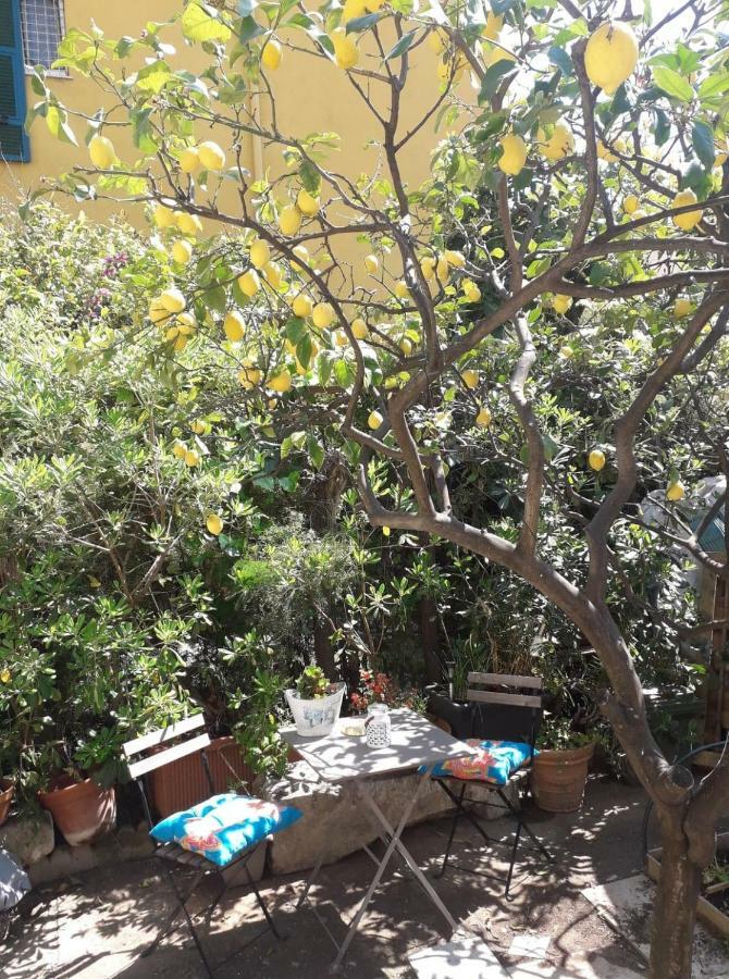 Les Violettes Daire Menton Dış mekan fotoğraf